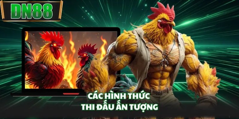 Các hình thức thi đấu ấn tượng