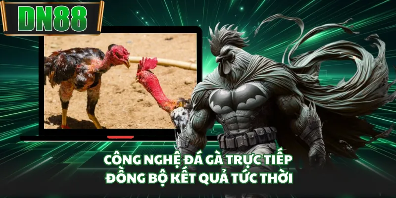 Công nghệ đá gà trực tiếp đồng bộ kết quả tức thời