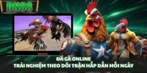 Đá Gà Online - Trải Nghiệm Theo Dõi Trận Hấp Dẫn Mỗi Ngày