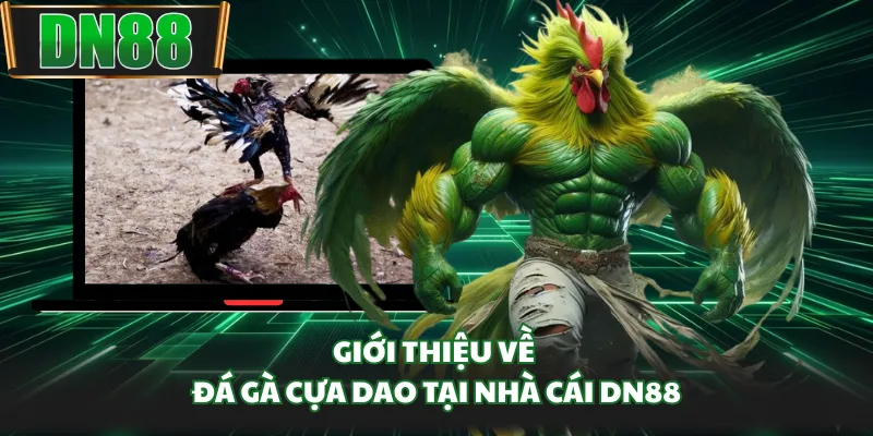 Giới thiệu về đá gà cựa dao tại nhà cái DN88