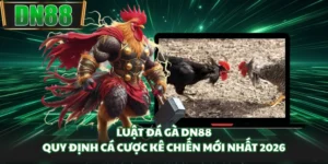 Luật Đá Gà DN88 - Quy Định Cá Cược Kê Chiến Mới Nhất 2026