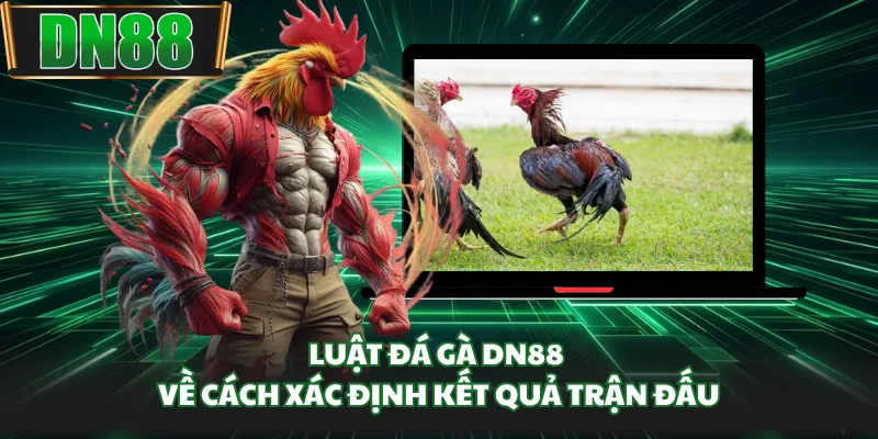 Luật đá gà DN88 về cách xác định kết quả trận đấu