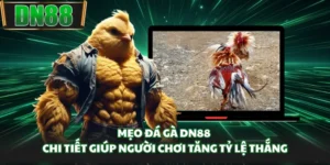 Mẹo Đá Gà DN88 Chi Tiết Giúp Người Chơi Tăng Tỷ Lệ Thắng